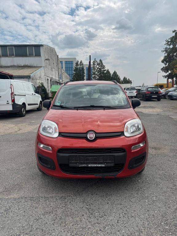Panda