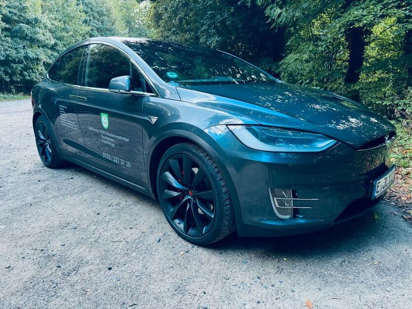 Model X