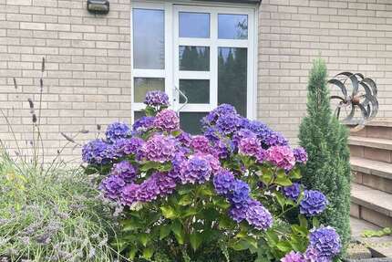 Haus zum Kaufen in Odenthal 390.000 € 121 m² 5 zimmer