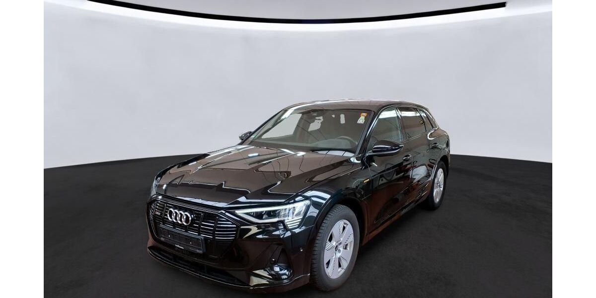 Audi e-tron 96.834 km 31.489 &euro; Hagen 58091