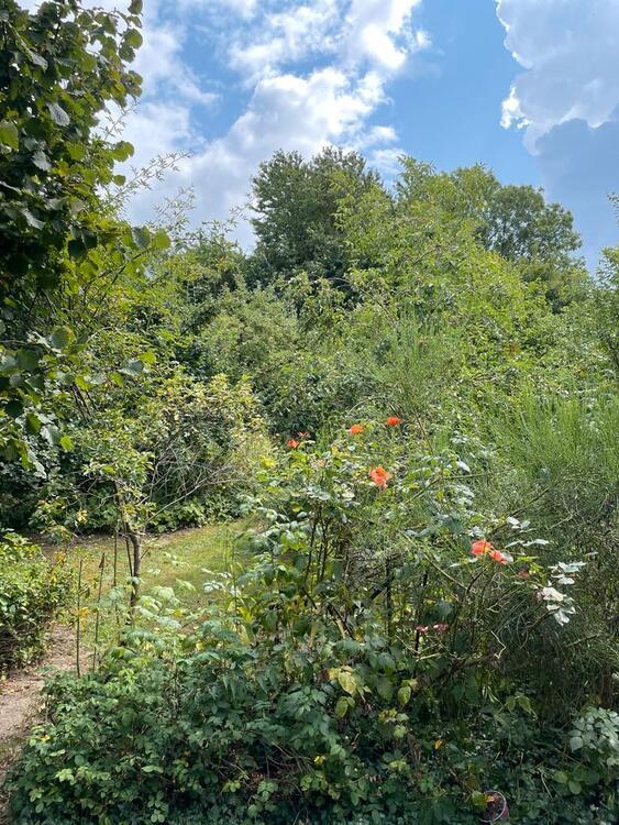 Freistehendes Einfamilienhaus mit EinliegerWohnung