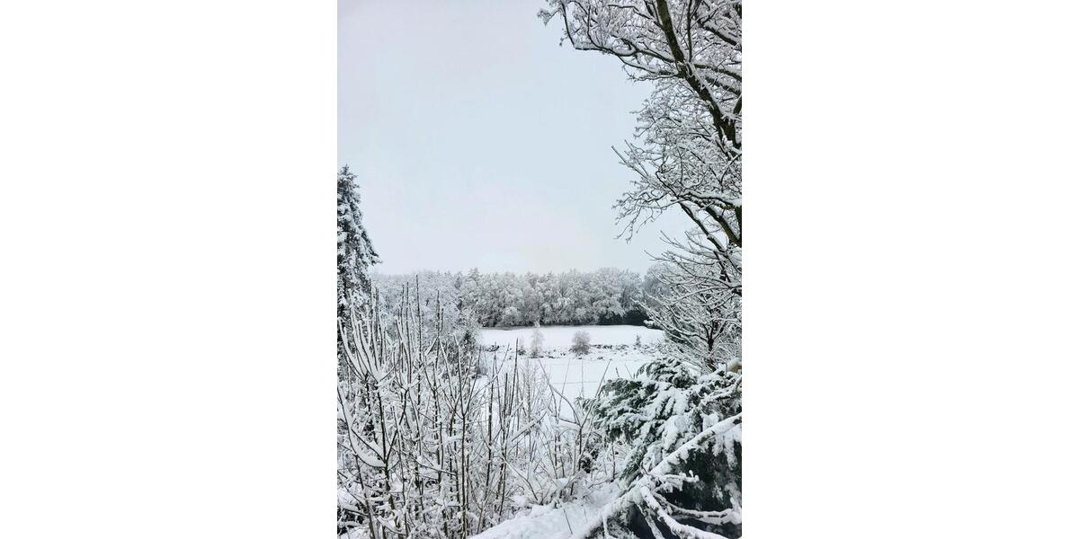 Erdgeschosswohnung mit Garten,Balkon und Stellplatz in guter Lage 2.5 zimmer