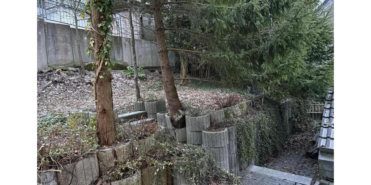 Kernsanierte 3-Zimmer-Wohnung in Nähe des Stadtzentrums 3 zimmer