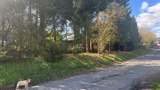 Provisionsfrei* Exklusives Baugrundstück in Toplage - uneinsehbar, familienfreundlich & mit 40km-Fernblick zimmer