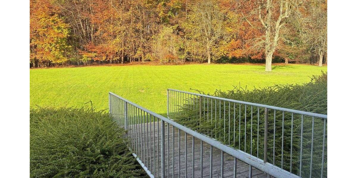 Gewerbeimmobilie Büros & ebenerdige Halle zimmer