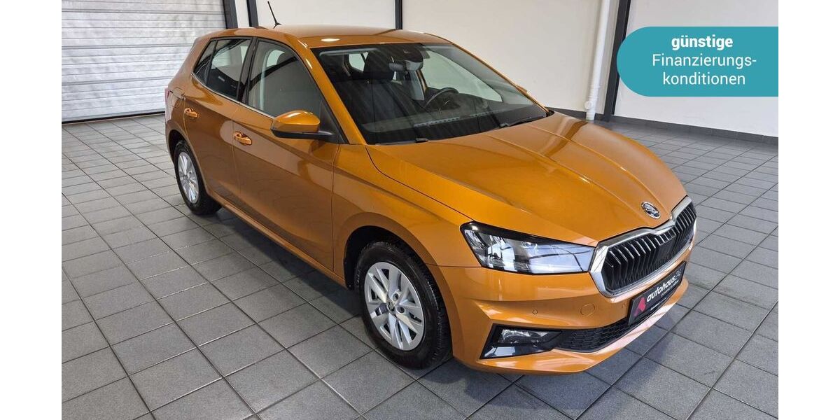 Skoda Fabia 50.978 km 17.890 &euro; Wuppertal 42287