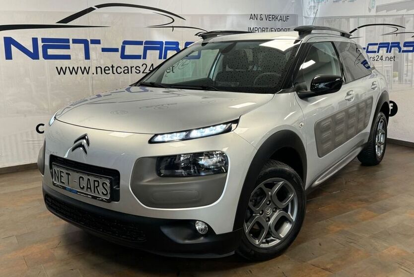 C4 Cactus