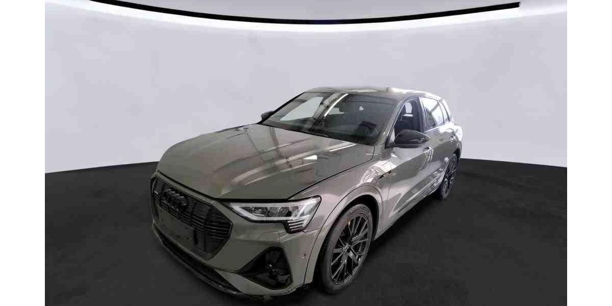 Audi e-tron 43.337 km 35.563 &euro; Hagen 58091