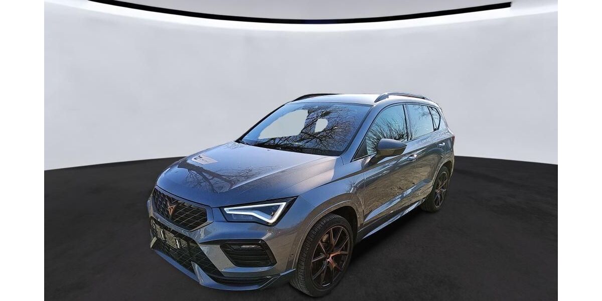 Cupra Ateca 74.113 km 29.144 &euro; Hagen 58091
