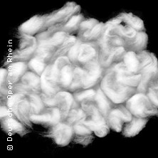 Holle! 17.01.2026 Opernhaus Düsseldorf