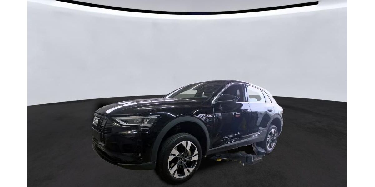 Audi e-tron 42.500 km 33.480 &euro; Hagen 58091