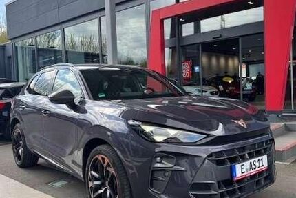 Cupra Andere
