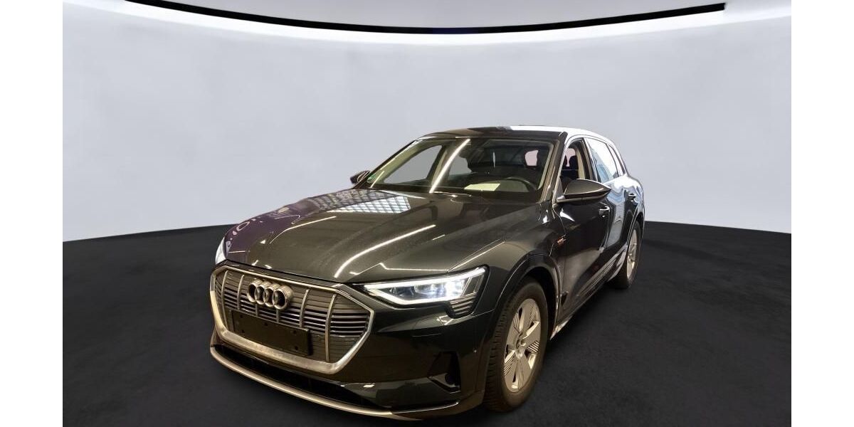 Audi e-tron 45.591 km 33.810 &euro; Hagen 58091