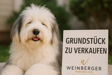 Grundstück zu verkaufen in Solingen 125.000 € 216 m² zimmer