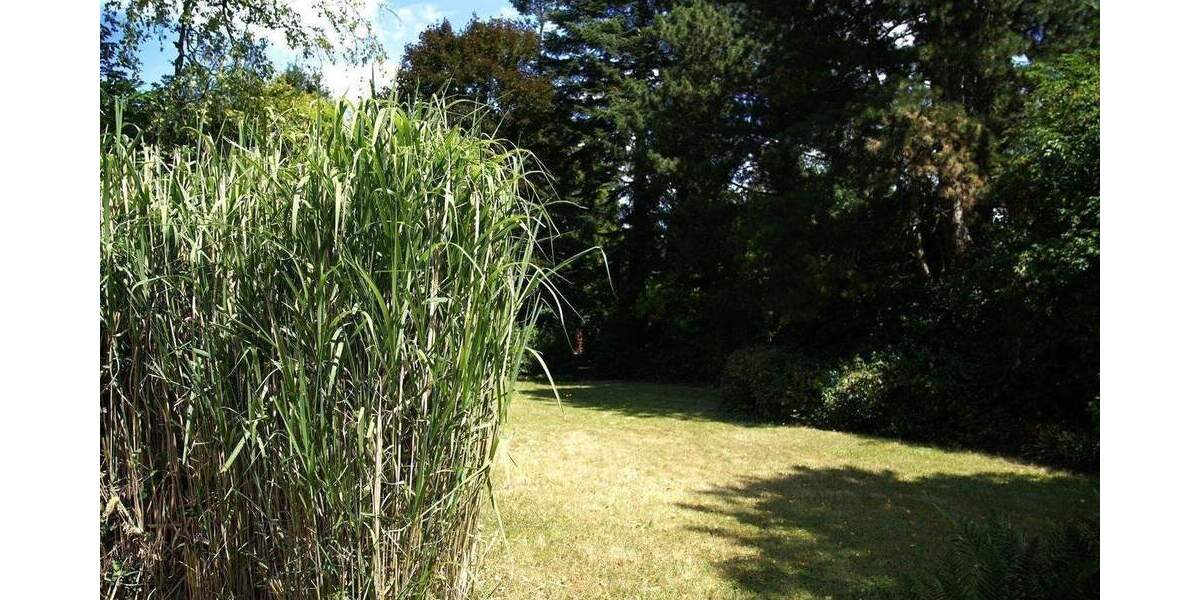 historisches Fachwerkhaus im alten Ortskern von Düsseldorf - Urdenbach 4 zimmer