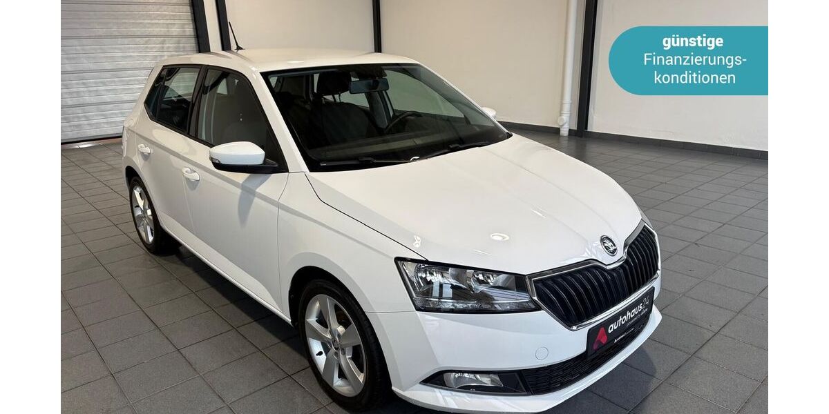 Skoda Fabia 63.402 km 11.440 &euro; Wuppertal 42287