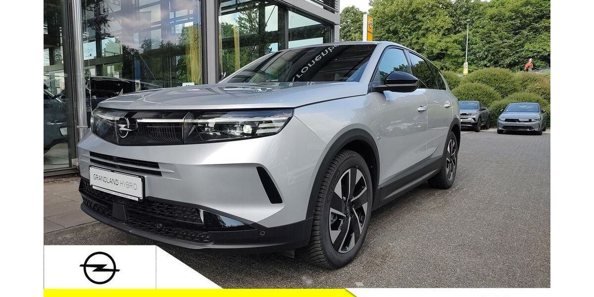 Opel Grandland (X) 8.773 km 28.800 &euro; Düsseldorf 40625