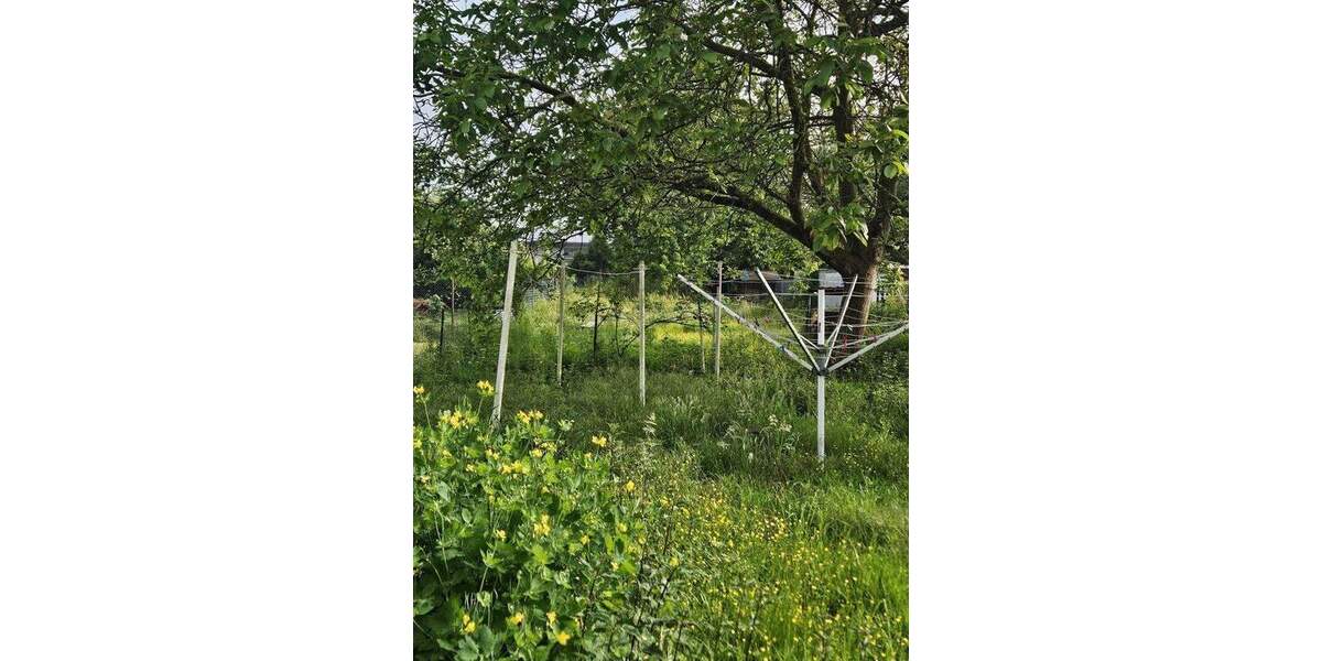 Mehrfamilienhaus, Wohnhaus Leverkusen Opladen - 1 Zimmer, 342 m&sup2;, 819.000&euro; | Angebot:25780273