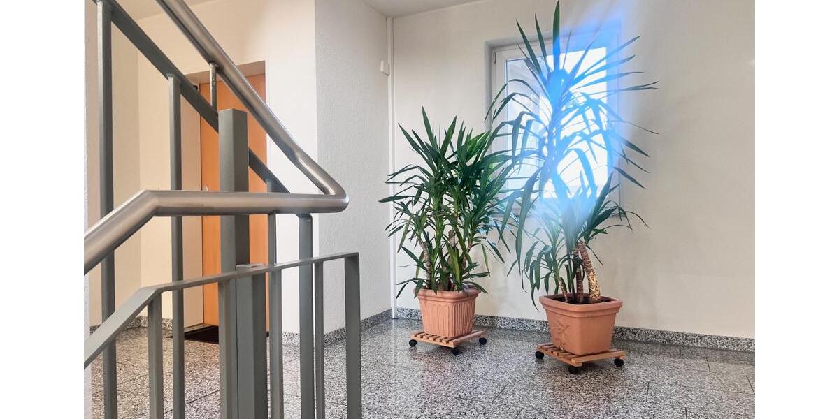 Tolle 2-Zi.-Wohnung mit Balkon, TG-Stellplatz, Dusche und Wanne 2 zimmer