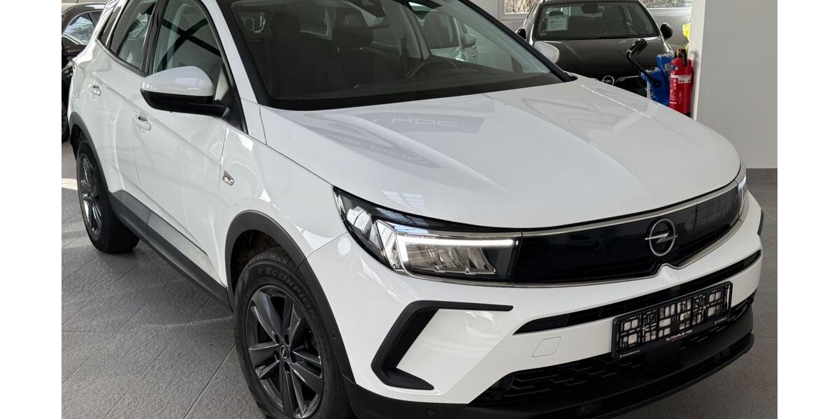 Opel Grandland (X) 117.502 km 16.950 &euro; Remscheid 42859
