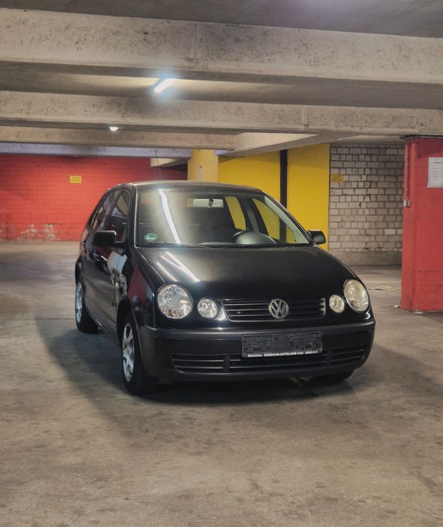 Polo