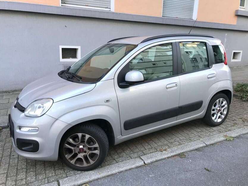 Panda