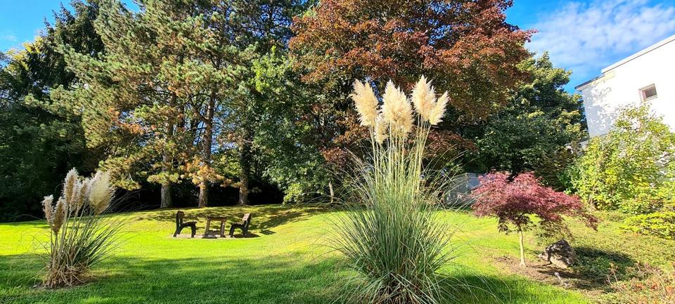 3 Zimmer Penthouse EBK Ausblick , ruhig , zentral 3 zimmer