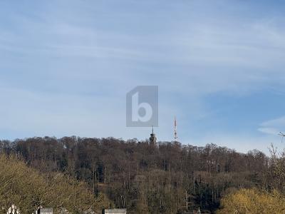 PERFEKTE WOHNLAGE UND UNVERBAUBARE FERNSICHT - Grundstück Velbert Langenberg | Angebot:25400645