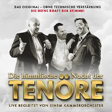 Himmlische Nacht der Tenöre - Das Original - Live und ohne technische Verstärkung 31.01.2026 Lutherkirche zu Solingen