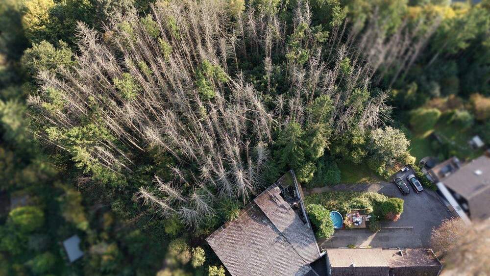 Grundstück Wuppertal Cronenberg - 399.000&euro; | Angebot:25738385