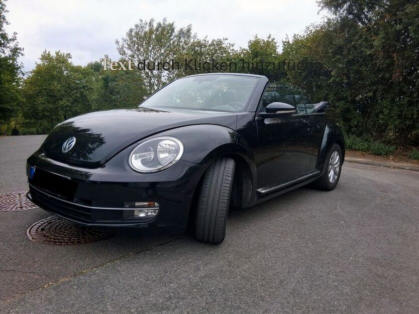 Beetle
