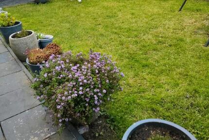 Eigentumswohnung Hagen 4,5Zimmer mit eigenem Garten und Balkon 4 zimmer