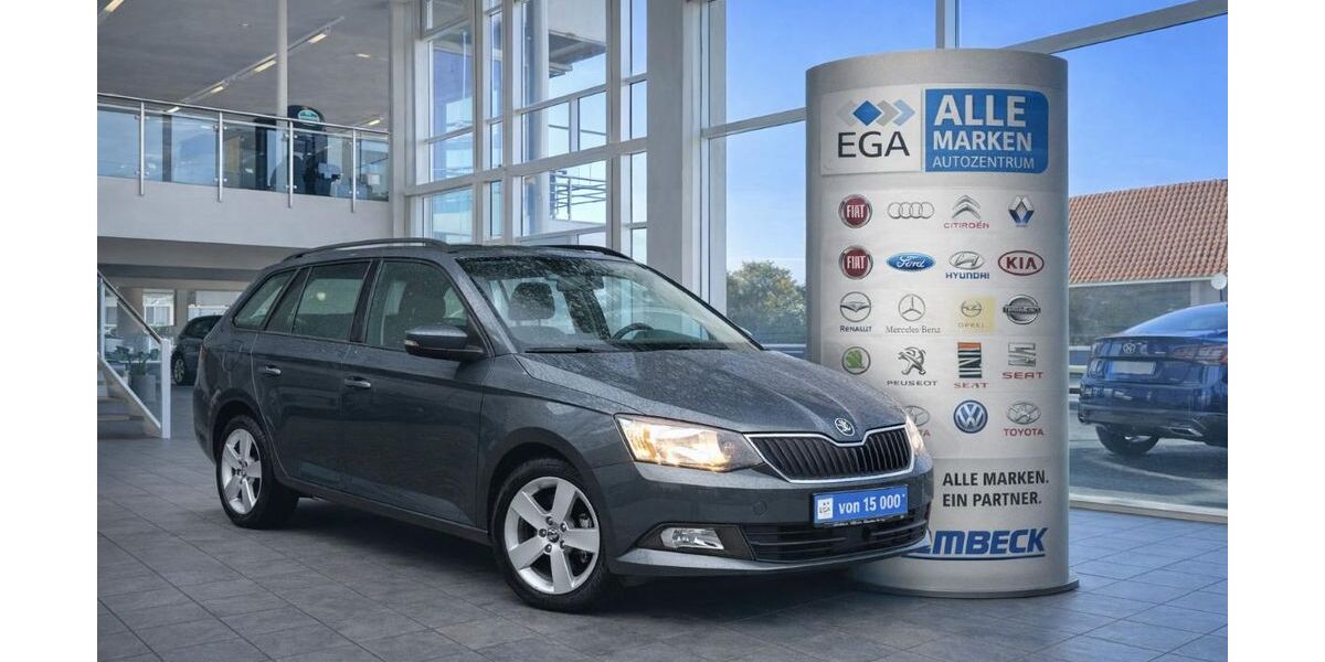 Skoda Fabia 48.900 km 12.288 &euro; Wermelskirchen 42929