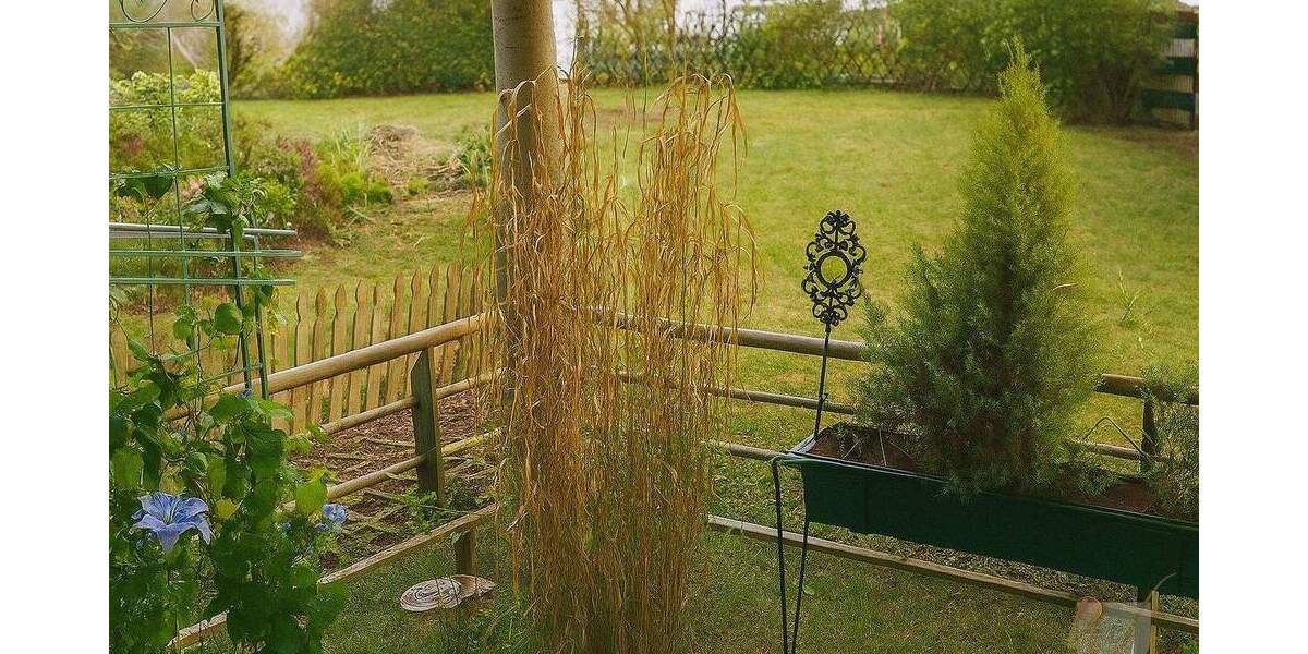 Etagenwohnung Solingen Gräfrath - 3 Zimmer, 85 m&sup2;, 283.000&euro; | Angebot:25734481