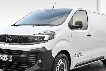 Opel Vivaro 12.492 km 33.990 &euro; Wuppertal 42103