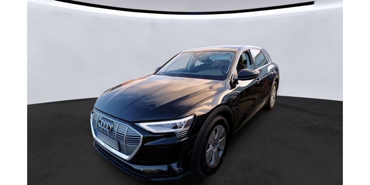 Audi e-tron 44.209 km 26.844 &euro; Hagen 58091