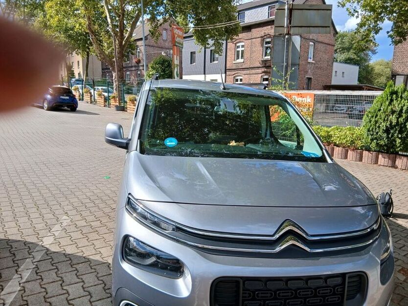 Berlingo