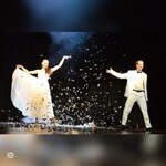 Maxim Maurice - Las Vegas Illusions - Zaubershow