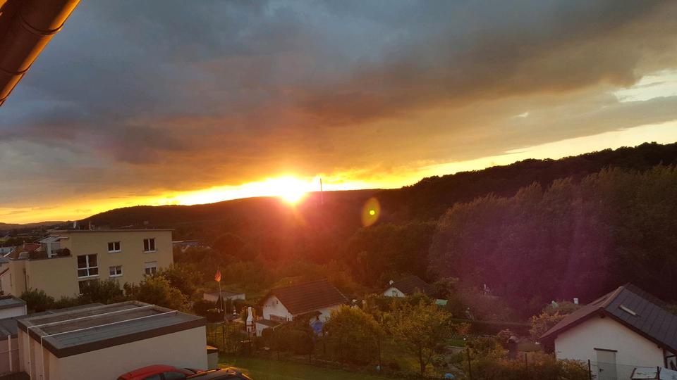 4-Zimmer Wohnung mit Garten, neuer Küche und neuen Bädern 4 zimmer