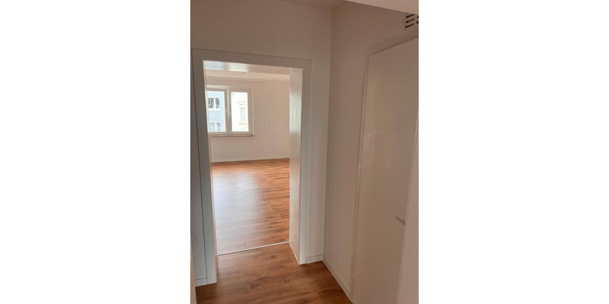 2 Zi Wohnung+ Balkon, 50qm neu saniert ,neue Küche & Bodenheizung 2 zimmer