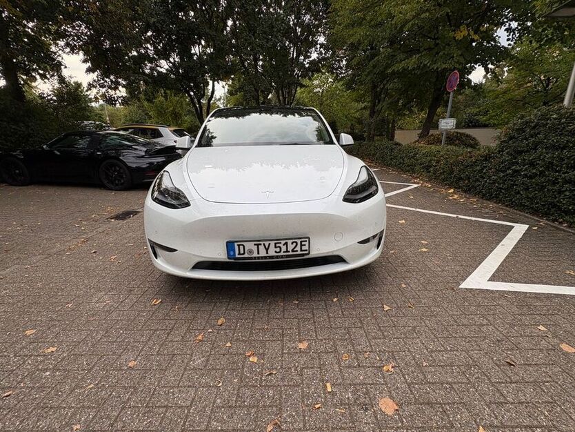 Model Y