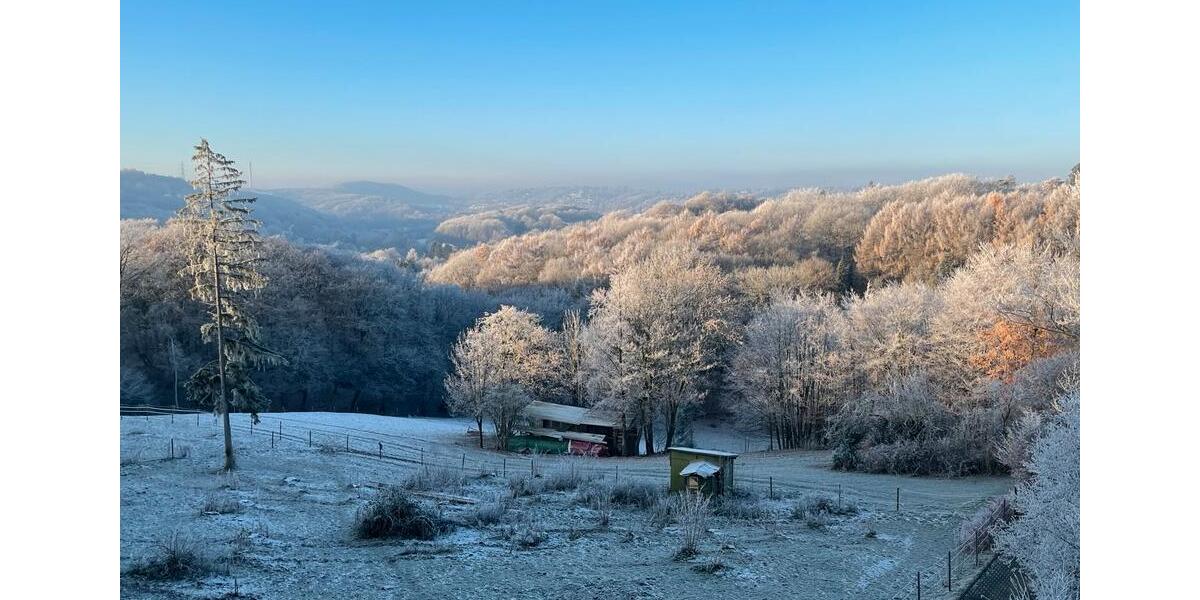 Traumhafte Eigentumswohnung im Stile einer Doppelhaushälfte 2.5 zimmer