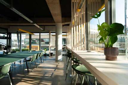 Büro in Wuppertal 1.955 € 39 m² zimmer