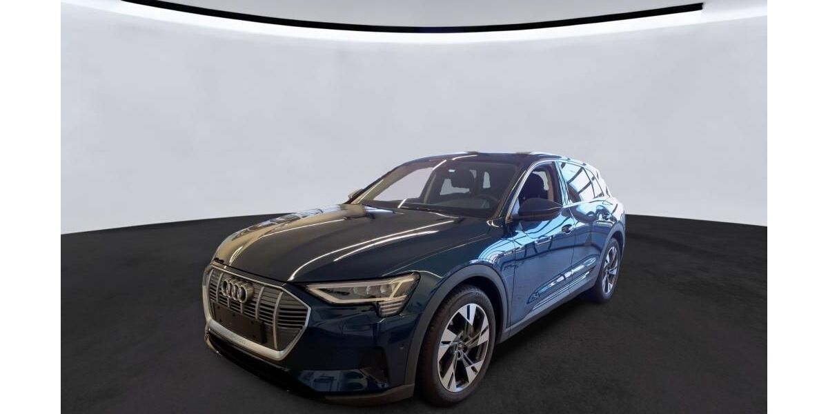 Audi e-tron 10.168 km 36.310 &euro; Hagen 58091