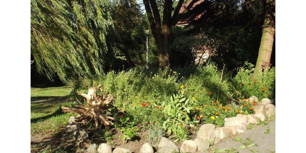 Raus aufs Land? Ab an die Ostsee - 50 J.+, 2 Zi. Whg. 2 zimmer