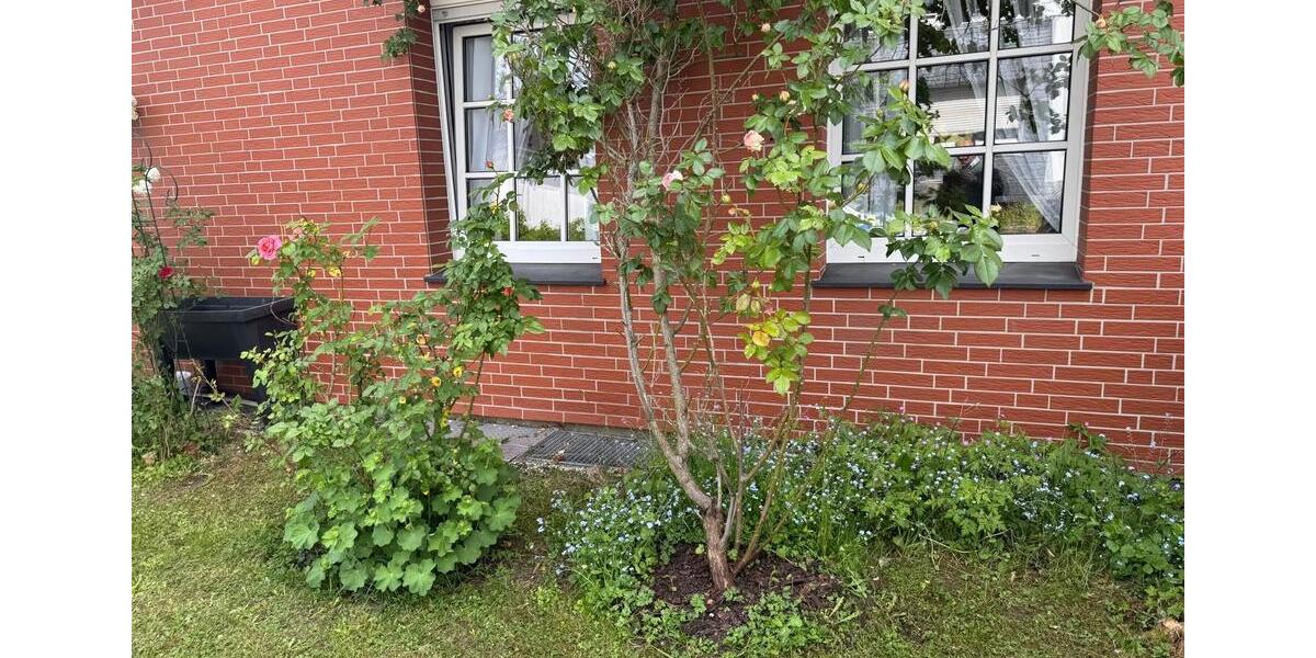 ✅ Reiheneckhaus mit Garten und separatem Hinterhaus zimmer