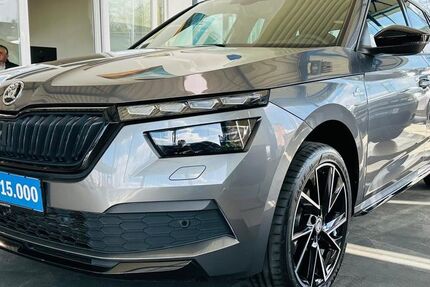 Skoda Kamiq 53.420 km 25.790 &euro; Wetter 58300
