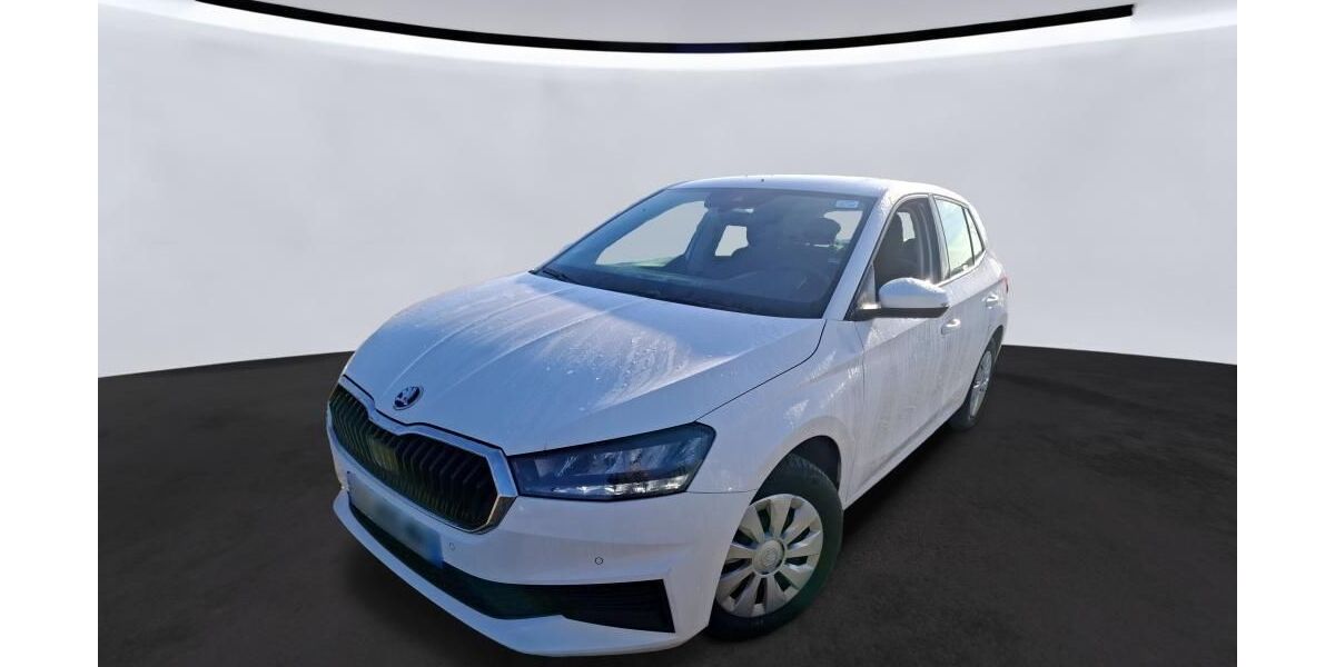 Skoda Fabia 46.624 km 11.375 &euro; Hagen 58091