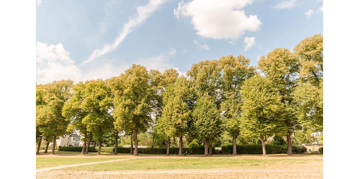 Attraktive Anlageimmobilie in Düsseldorf-Wersten 1 zimmer