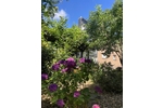 Großzügiges Ein- oder Zweifamilienhaus mit Charme, Gartenparadies & vielen Möglichkeiten - Einfamilienhaus Leichlingen | Angebot:25269338